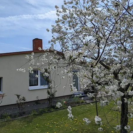 Weinhold Apartment Barth